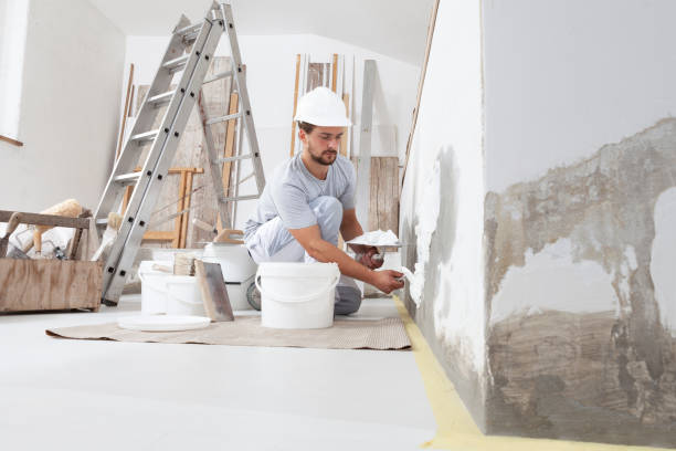 Best Mold Documentation for Insurance Claims  in Houston, MO