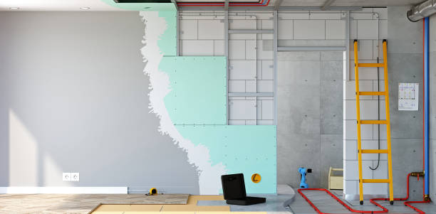 Best Post-Construction Mold Inspection  in Houston, MO