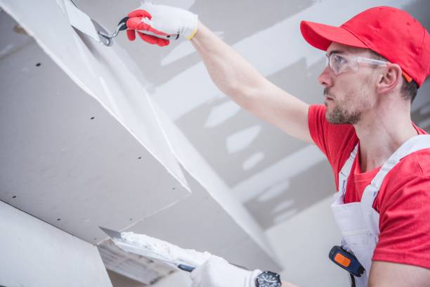 Best Asbestos and Lead Testing During Mold Inspection  in Houston, MO